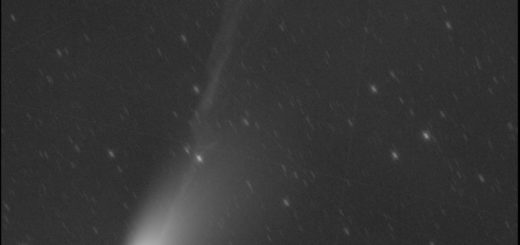 Comet 13P/Olbers: 8 Aug. 2024.