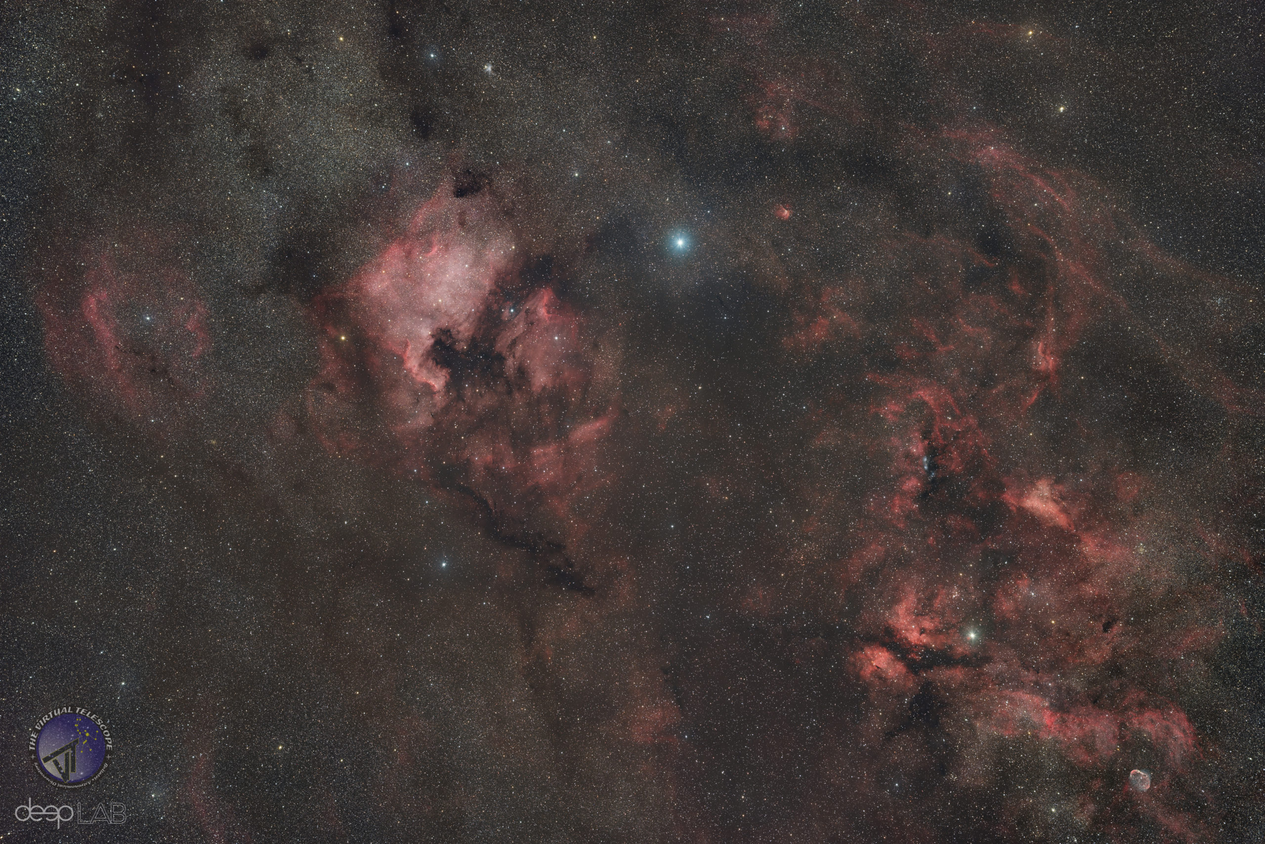 The North America and Pelican nebulae, Deneb, IC 1318, Sadr. and the Crescent nebula.