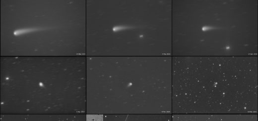 Comet C/2023 A3 Tsuchinshan-ATLAS: evolution from May 2023 to June 2024.