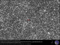 Potentially Hazardous Asteroid 2020 XR: 31 Oct. 2024.