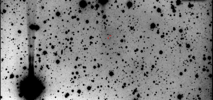 Quasar PSO J006.1240+39.2219 imaged via the Virtual Telescope Project on Oct. 2024. / Il quasar PSO J006.1240+39.2219 ripreso tramite il Virtual Telescope Project a ottobre 2024.