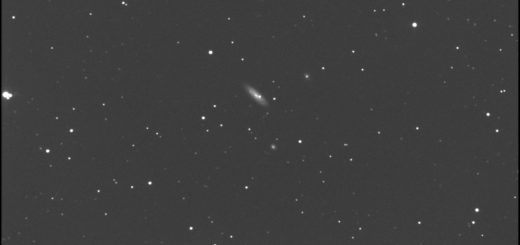 Supernova SN 2024xal in the PGC 13716 galaxy: 3 Nov. 2024.