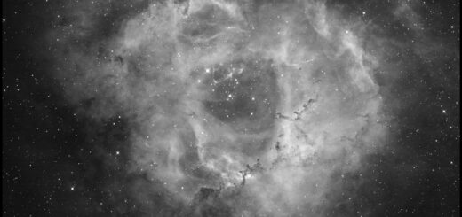 NGC 2237-9, the “Rosette” nebula.