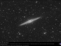 NGC 891: 29 Dec. 2024.