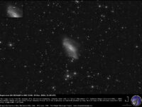 Supernova SN 2024abfl in NGC 2146: 29 Dec. 2024.