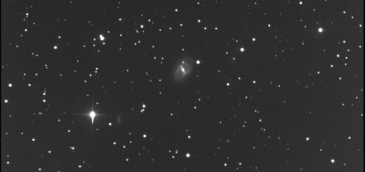 Supernova SN 2024aeee in NGC 2523: 28 Dec. 2024.